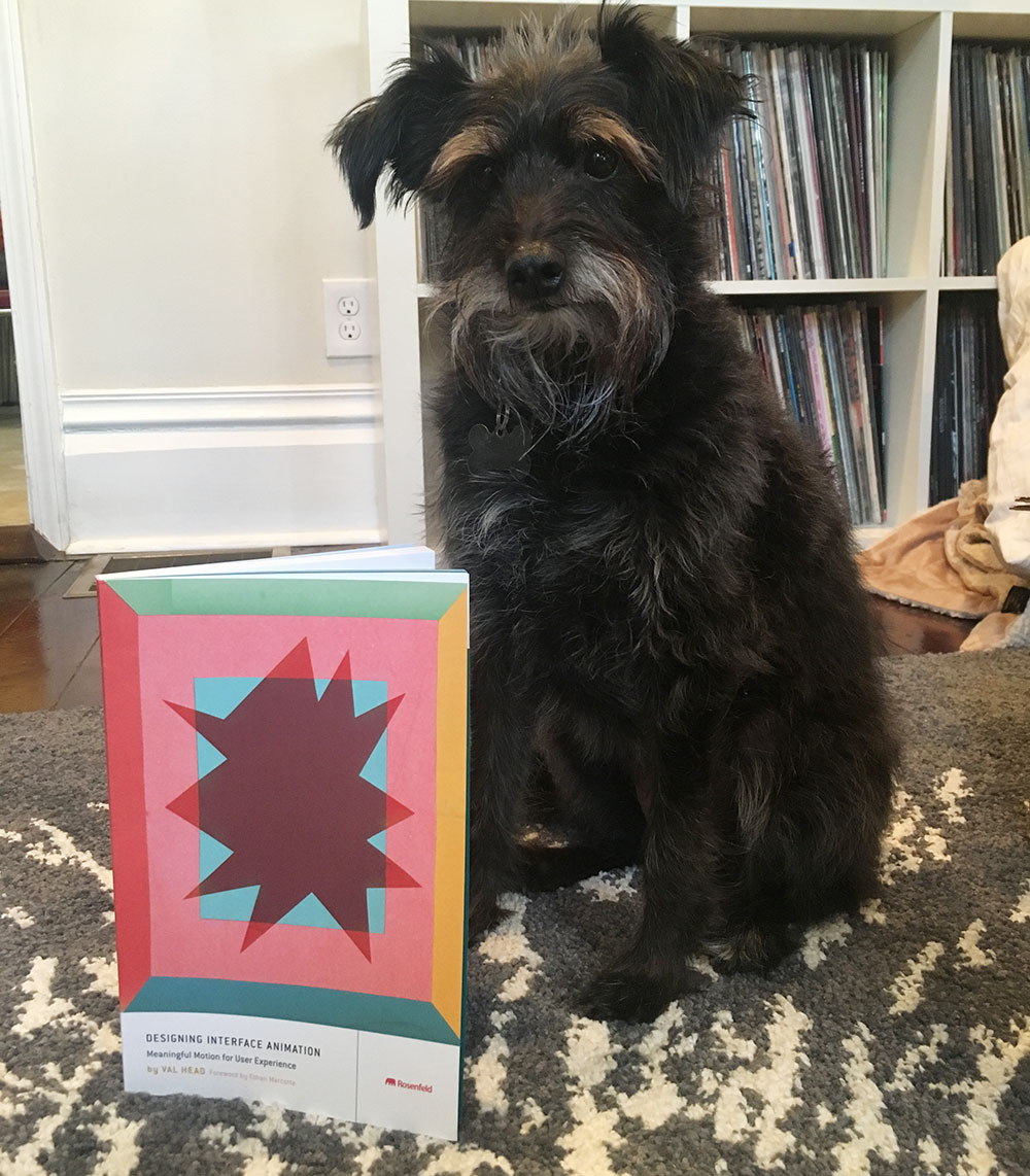 my dog with her copy of Designing Interface Animation